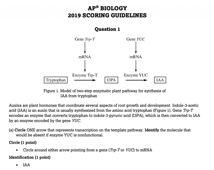 Unit 5 ap biology practice test