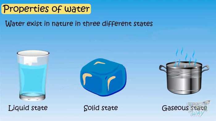 Properties of water webquest answers