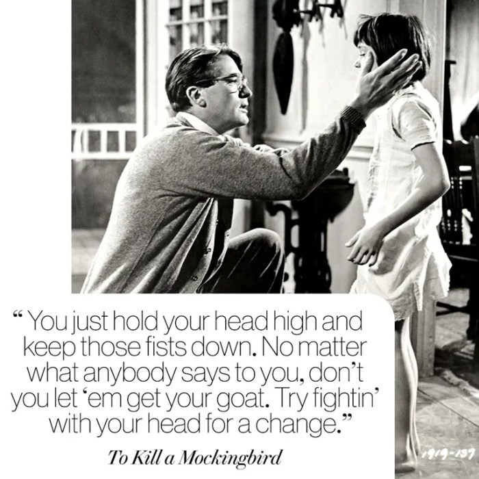 Quotes about racism in to kill a mockingbird